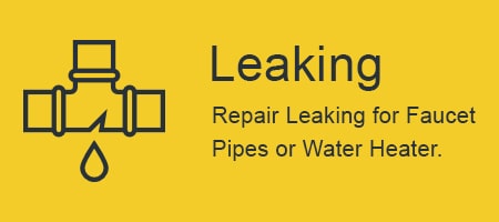 Leak Repair